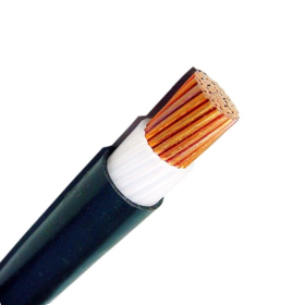 Dây 2.5 mm² — ruột đồng, bọc PVC