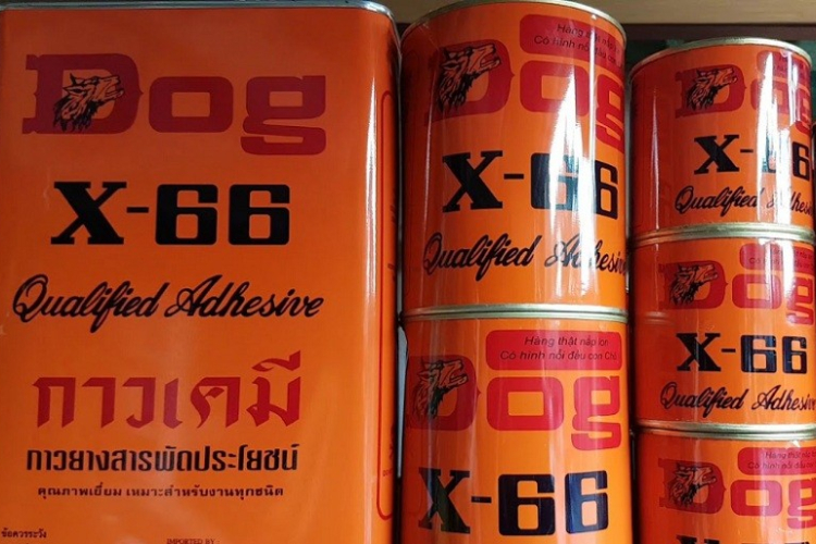 Keo con chó các loại